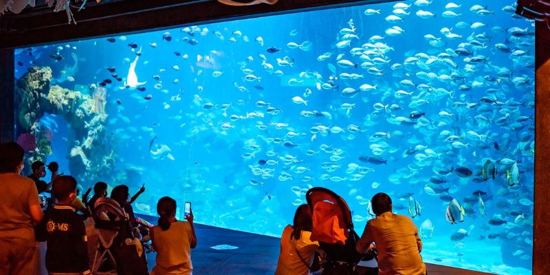 Aquaria Phuket